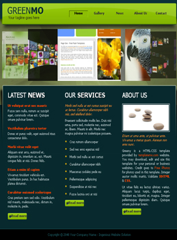 Sample Promotional Websites