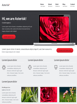 Sample Promotional Websites