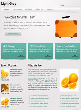 Sample Promotional Websites