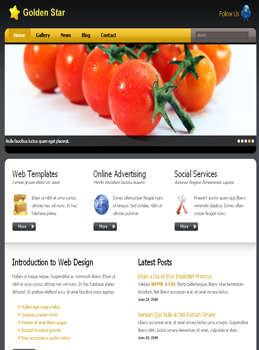 Sample Promotional Websites