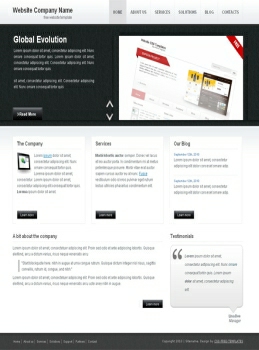 Sample Promotional Websites