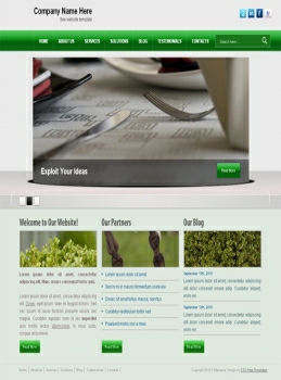 Sample Promotional Websites