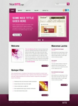 Sample Promotional Websites